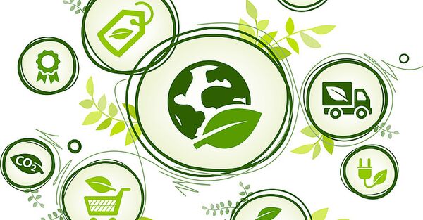 Eine Grafik der Nachhaltigkeit bei der NEUE LÜBECKER